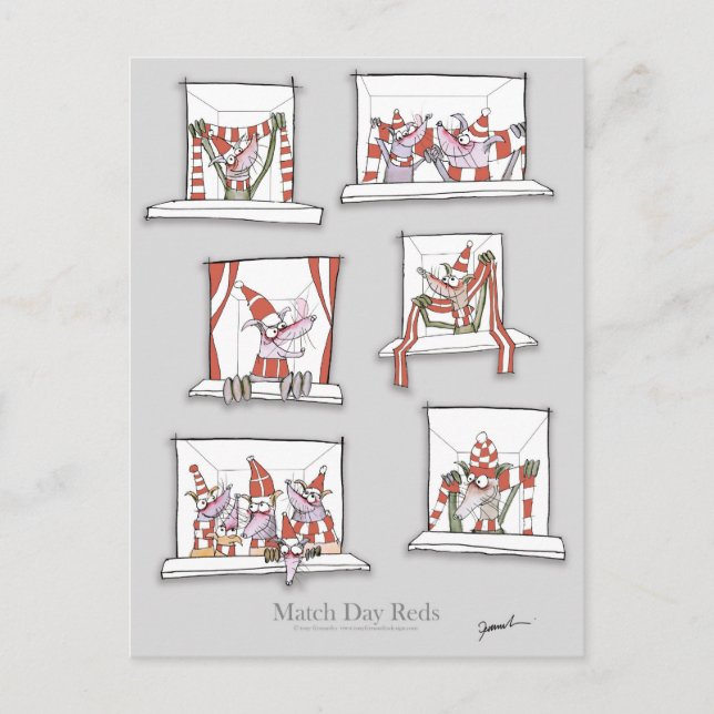 Cartão Postal cães de futebol correspondem aos dias (Frente)