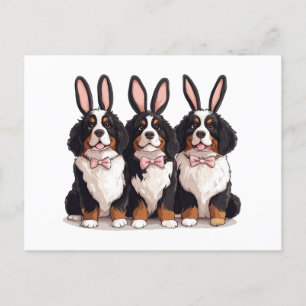 Cartão Postal Cães de Montanha Bernese páscoas