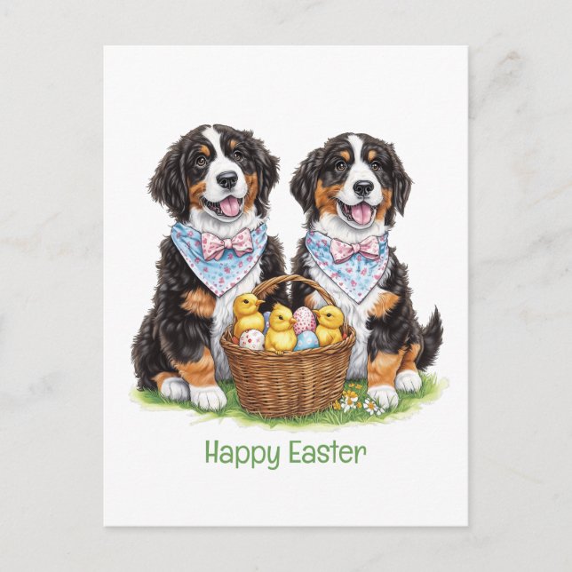 Cartão Postal Cães de Montanha felz pascoa Bernese (Frente)