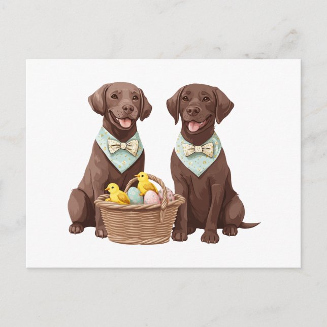 Cartão Postal Cães de páscoa de chocolate Labrador (Frente)