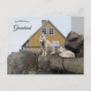 Cartão Postal Cães de Trenó em Upernavik Groenlândia