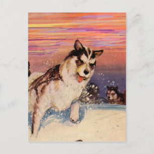 Cartão Postal Cães de trenó siberianos da década de 1940 a fazer