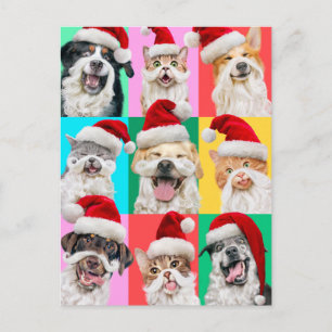 Cartão Postal Cães e Gatos com Barba de Papai Noel