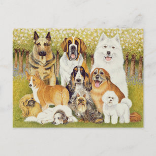 Cartão Postal Cães em maio