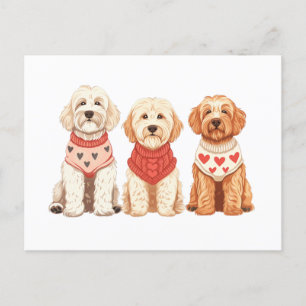 Cartão Postal Cães Goldendoodle do Dia dos Namorados