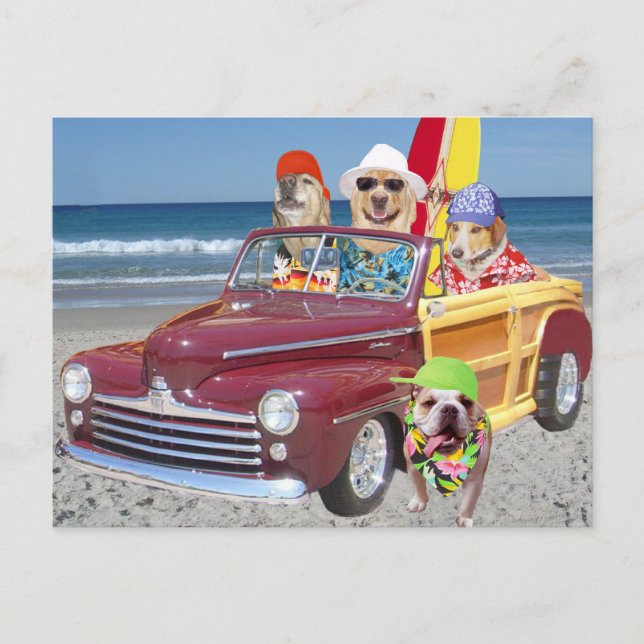 Cartão Postal Cães/Labs na praia em uma Woodie (Frente)