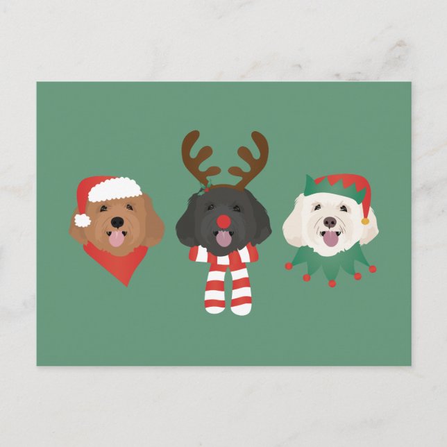 Cartão Postal Cães Maltipoo de Natal (Frente)