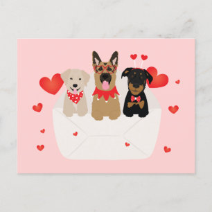 Cartão Postal Cães no Envelope Love