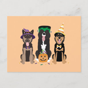 Cartão Postal Cães Nos Fatos De Halloween
