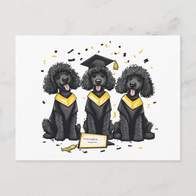 Cartão Postal Cães Poodle Padrão de Formatura (Frente)
