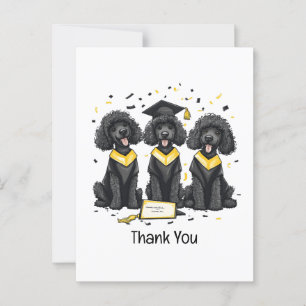 Cartão Postal Cães Poodle Padrão de Graduação Obrigado