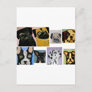 Cartão Postal cães por eric ginsburg