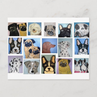 Cartão Postal cães por eric ginsburg