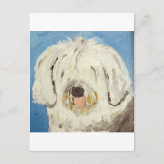 Cartão Postal cães por eric ginsburg