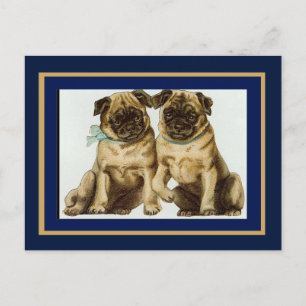 Cartão Postal Cães Pug Antigos