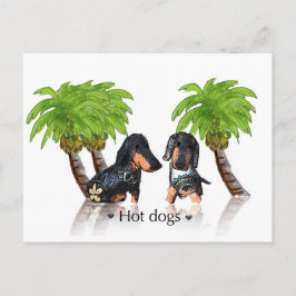 Cartão Postal Cães Quentes