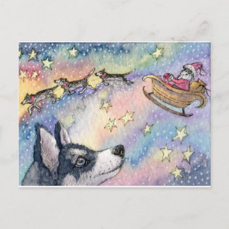 Cartão Postal Cães roucos