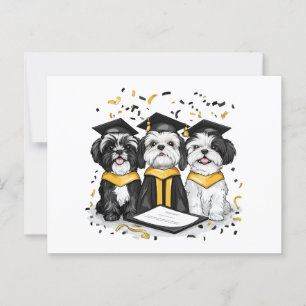 Cartão Postal Cães Shih Tzu Graduados