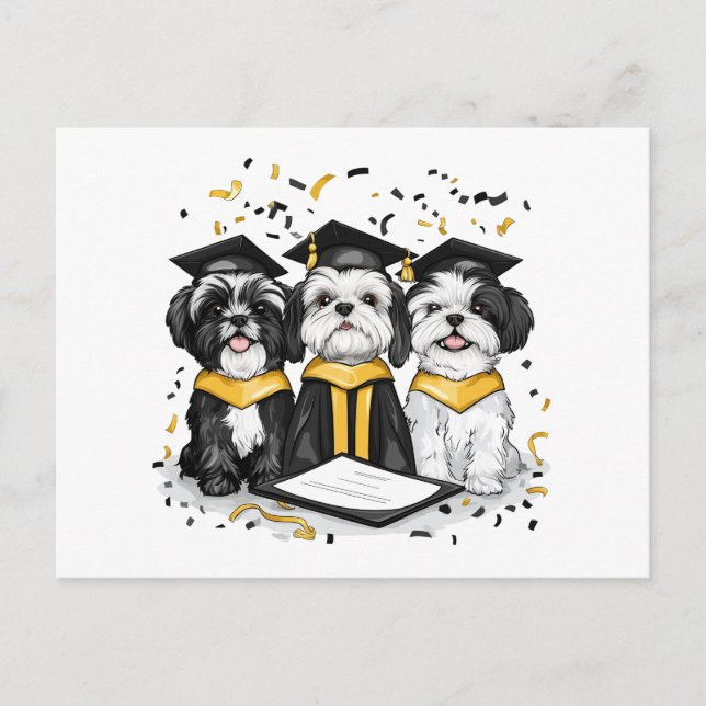 Cartão Postal Cães Shih Tzu Graduados (Frente)
