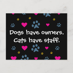 Cartão Postal Cães Têm Proprietários - Gatos Têm Funcionario