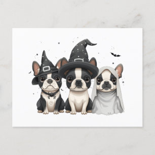 Cartão Postal Cães Terrier de Boston Halloween