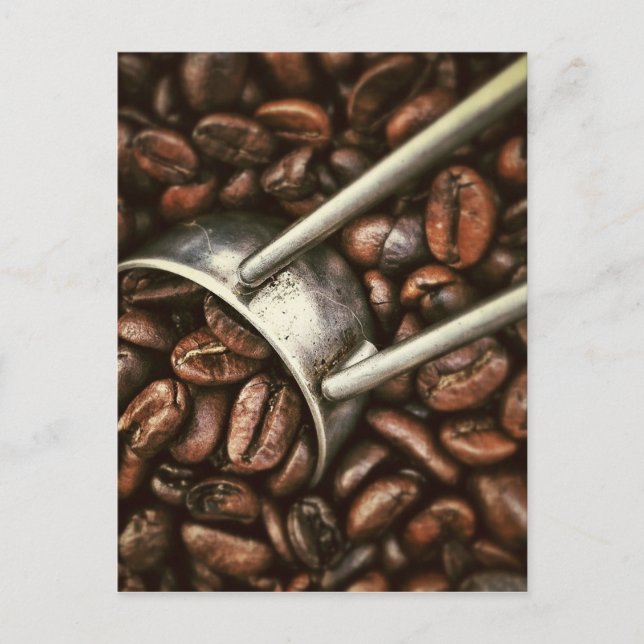 Cartão Postal Café Bean (Frente)