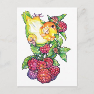Cartão Postal Caique com framboesa