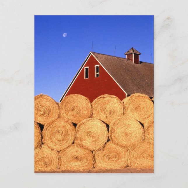 Cartão Postal Cair na Fazenda (Frente)