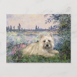 Cartão Postal Cairn Terrier 4 - À Beira do Sena