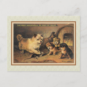 Cartão Postal Cairn Terrier Dog e suas mamas