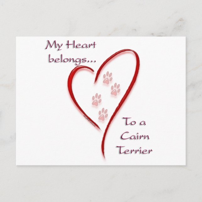 Cartão Postal Cairn Terrier Heart Pertence (Frente)