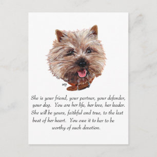 Cartão Postal Cairn Terrier Lembrança - FÊMEA