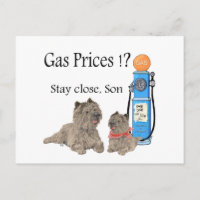 Cairn Terriers Preços da Gasolina ?!!