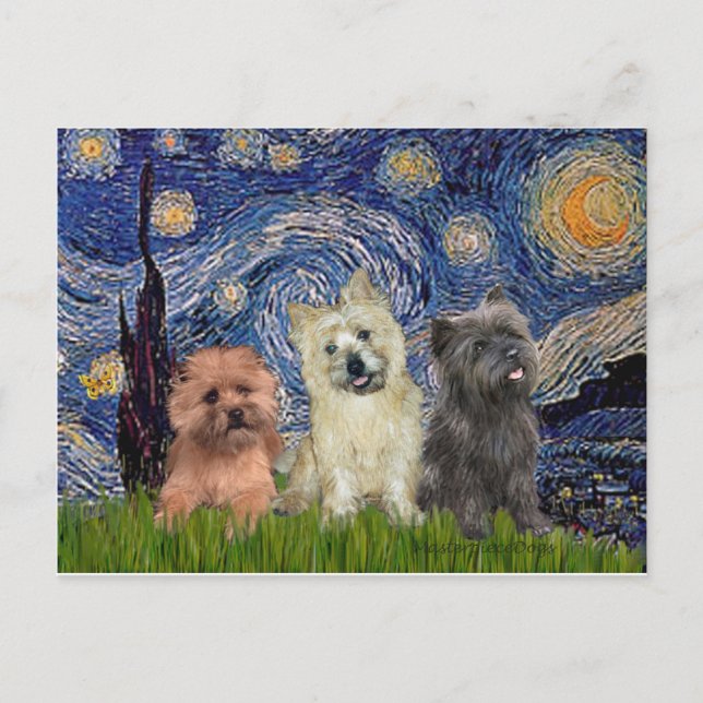 Cartão Postal Cairn Terriers (três) - Noite Estrelada (Frente)