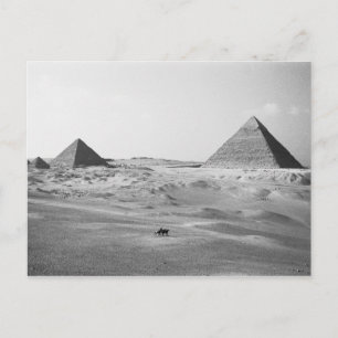 Cartão Postal Cairo Egito, Pirâmides de Gizé