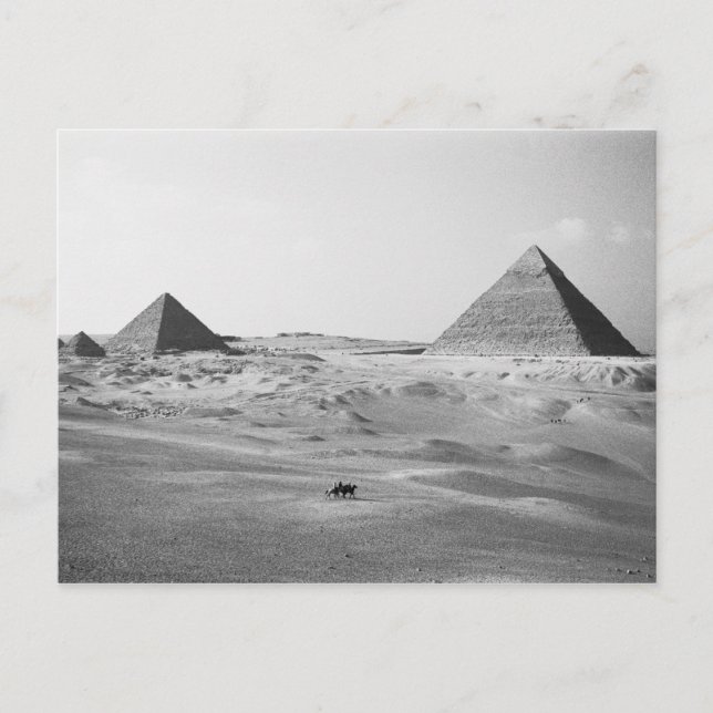 Cartão Postal Cairo Egito, Pirâmides de Gizé (Frente)