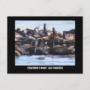 Cartão Postal Cais do pescador