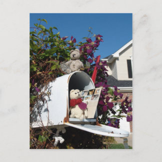 Cartão Postal Caixa de Correio!