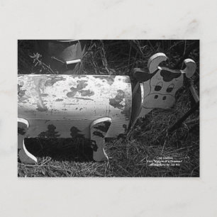 Cartão Postal Caixa de Correio de Vaca