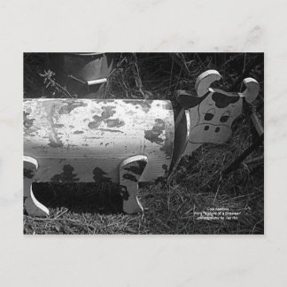Cartão Postal Caixa de Correio de Vaca