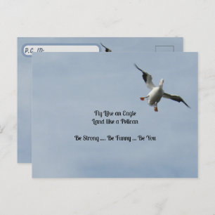 Cartão Postal Caixa de Identificação do Posto - Pelicano Branco