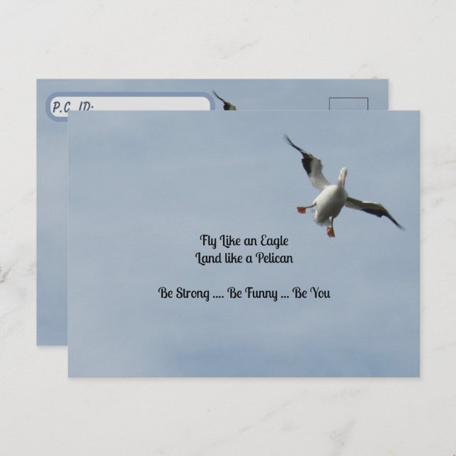 Cartão Postal Caixa de Identificação do Posto - Pelicano Branco  (Frente/Verso)