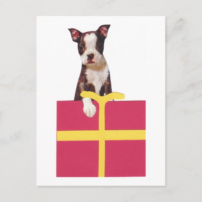 Cartão Postal Caixa de Presente do Boston Terrier (Frente)