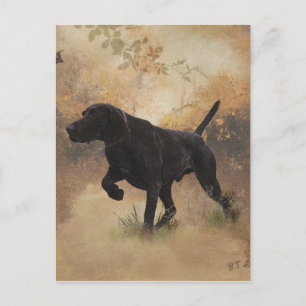 Cartão Postal Caixa de Presente do Pointer de Pelo Curto Alemão
