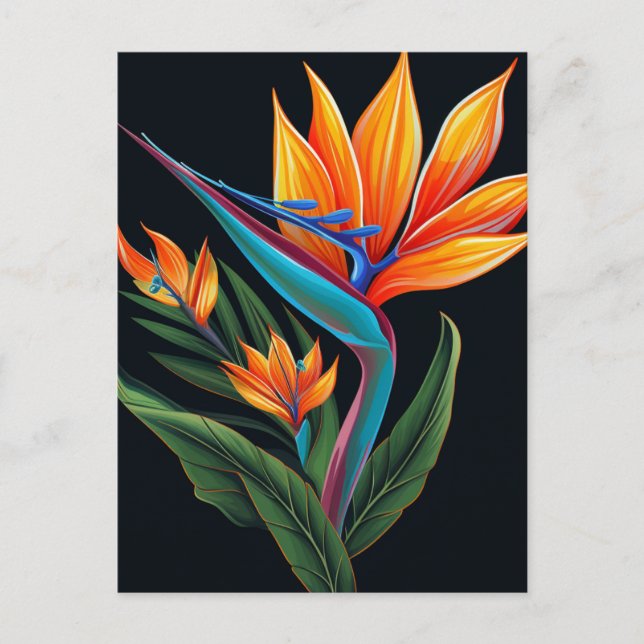 Cartão Postal Caixa de Presente FLORAL nº 11 (Frente)