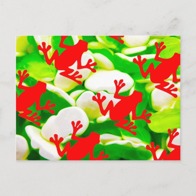 Cartão Postal Caixa de Sapos (Frente)