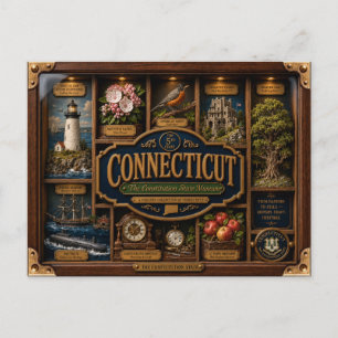 Cartão Postal Caixa de Sombra de Connecticut Figura 3D do Estado