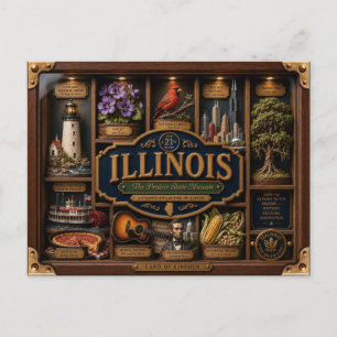 Cartão Postal Caixa de Sombra de Illinois 3D Figura Estado