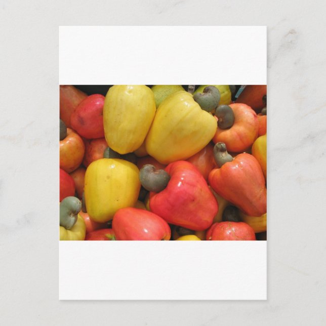 Cartão Postal Caju, Natureza (Frente)