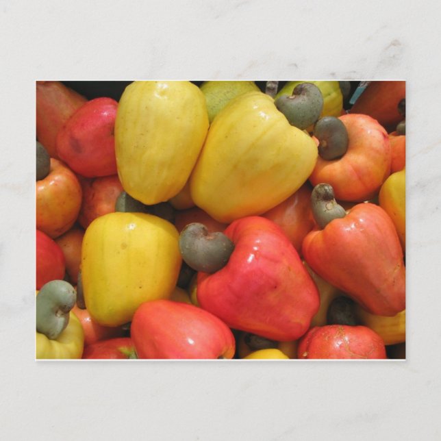 Cartão Postal Caju, natureza do mãe (Frente)